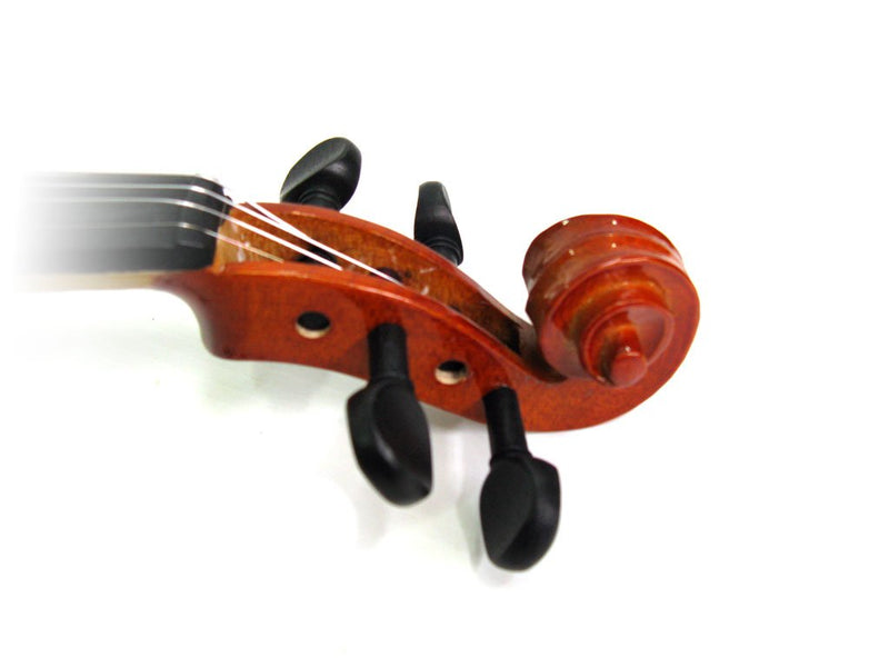 Valencia Standard Violins