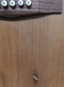 Ibanez AW54CE Solid Top Acoustic S/H