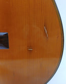 Fernandes GC-30 Classical Guitar MIJ
