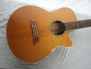 Takamine PTU111-12VN 12 String Acoustic