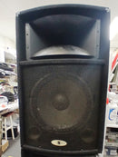 RG15 Disco/Party 15" & Horn Cabs S/H Pair Black
