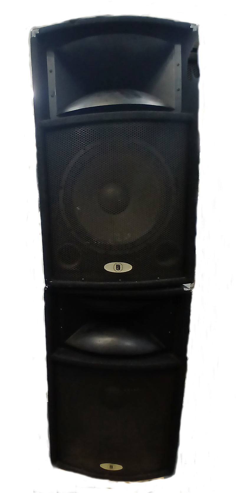 RG15 Disco/Party 15" & Horn Cabs S/H Pair Black
