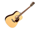 Samick SGW Series 300 Spruce Top Dreadnought Guitar in Natural Gloss