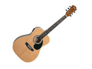 Redding 3/4 Size Spruce Top Dreadnought Acoustic Electric Guitar