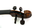Stentor Student 1 Violins