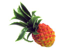 Rhythm Tech Pineapple Shaker
