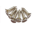 MMC Nickle Scratchplate Screws Set of 6