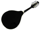 Bryden Standard Mandolin Sunburst Finish