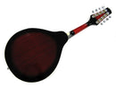 Bryden Electric Mandolin Redburst Mahogany Top