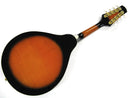 Bryden Mandolin Sunburst Finish Spruce Top