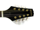 Bryden Mandolin Sunburst Finish Spruce Top