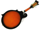 Bryden F Style Mandolin Sunburst Spruce Top