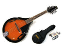 Bryden Mandolin Pack