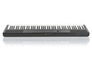 Artesia Fully Weighted Portable 88 Key Digital Piano