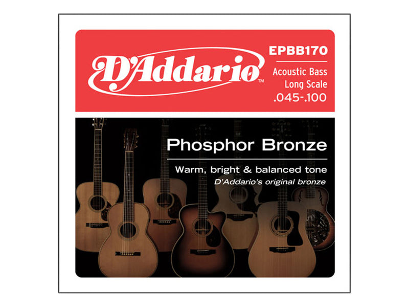 D'Addario 45-100 Acoustic Bass Guitar Strings