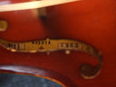 Suzuki No.11 Violin 1/8 Size