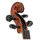 Stentor Graduate Fullsize Violin
